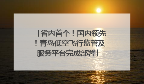 省内首个！国内领先！青岛低空飞行监管及服务平台完成部署