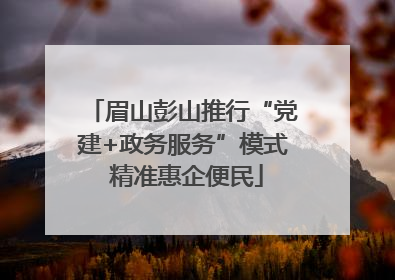 眉山彭山推行“党建+政务服务”模式 精准惠企便民