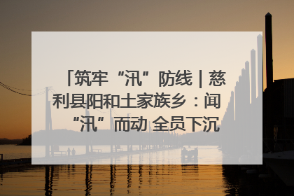 筑牢“汛”防线｜慈利县阳和土家族乡：闻“汛”而动 全员下沉筑牢防汛“安全堤”