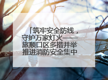 筑牢安全防线，守护万家灯火——旅顺口区多措并举推进消防安全集中整治工作