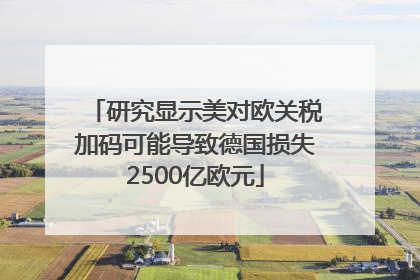 研究显示美对欧关税加码可能导致德国损失2500亿欧元