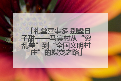 礼堂喜事多 别墅日子甜——马寨村从“穷乱差”到“全国文明村庄”的蝶变之路