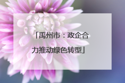 禹州市：政企合力推动绿色转型