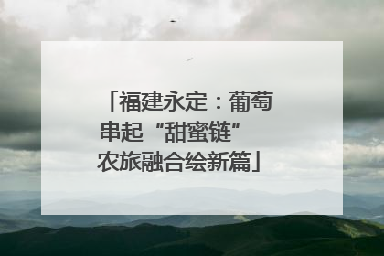 福建永定：葡萄串起“甜蜜链” 农旅融合绘新篇