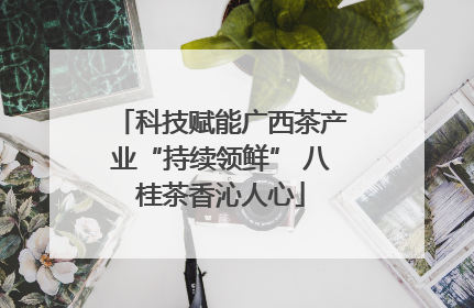 科技赋能广西茶产业“持续领鲜” 八桂茶香沁人心