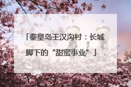 秦皇岛王汉沟村：长城脚下的“甜蜜事业”