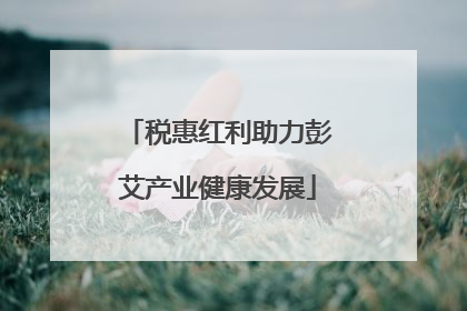 税惠红利助力彭艾产业健康发展