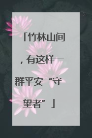竹林山间，有这样一群平安“守望者”