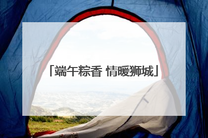 端午粽香 情暖狮城