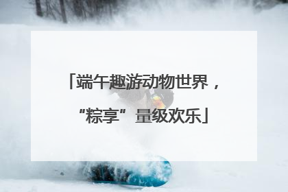 端午趣游动物世界，“粽享”量级欢乐