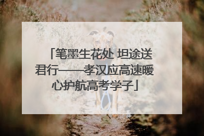 笔墨生花处 坦途送君行——孝汉应高速暖心护航高考学子