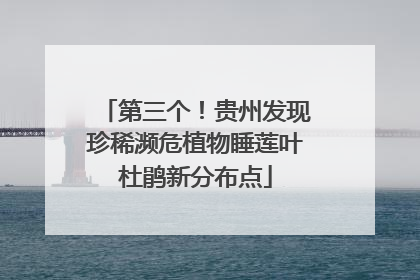 第三个！贵州发现珍稀濒危植物睡莲叶杜鹃新分布点