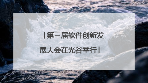 第三届软件创新发展大会在光谷举行