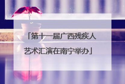 第十一届广西残疾人艺术汇演在南宁举办
