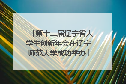 第十二届辽宁省大学生创新年会在辽宁师范大学成功举办