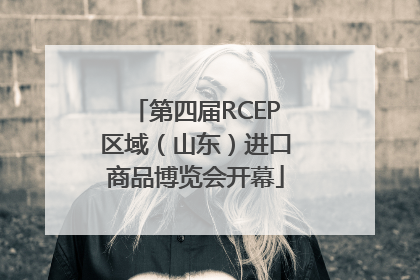 第四届RCEP区域（山东）进口商品博览会开幕