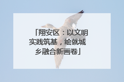 翔安区：以文明实践筑基，绘就城乡融合新画卷
