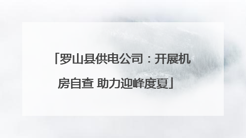 罗山县供电公司：开展机房自查 助力迎峰度夏