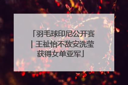 羽毛球印尼公开赛｜王祉怡不敌安洗莹 获得女单亚军