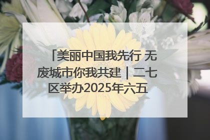 美丽中国我先行 无废城市你我共建｜二七区举办2025年六五环境日主题宣传活动