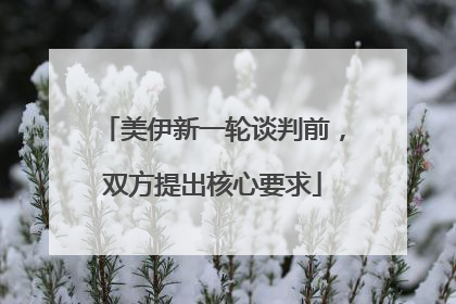 美伊新一轮谈判前，双方提出核心要求