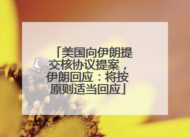 美国向伊朗提交核协议提案，伊朗回应：将按原则适当回应