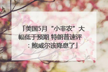 美国5月“小非农”大幅低于预期 特朗普速评：鲍威尔该降息了