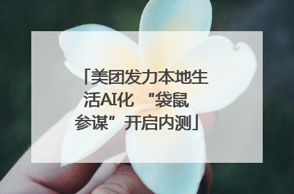 美团发力本地生活AI化 “袋鼠参谋”开启内测