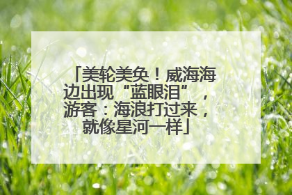 美轮美奂！威海海边出现“蓝眼泪”，游客：海浪打过来，就像星河一样