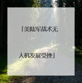 美陆军战术无人机发展受挫