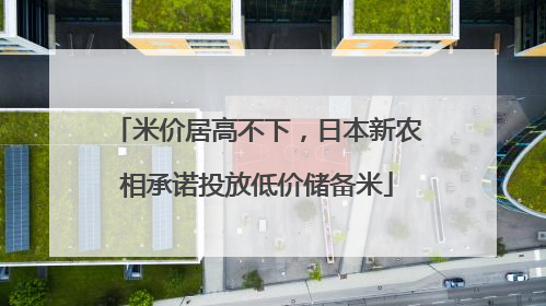 米价居高不下，日本新农相承诺投放低价储备米