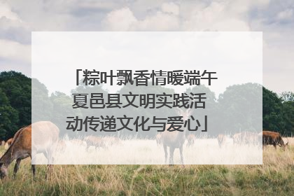 粽叶飘香情暖端午 夏邑县文明实践活动传递文化与爱心