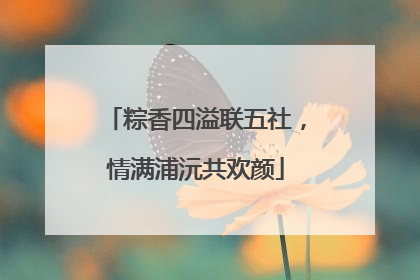 粽香四溢联五社，情满浦沅共欢颜