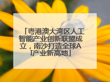 粤港澳大湾区人工智能产业创新联盟成立，南沙打造全球AI产业新高地