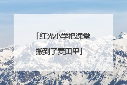 红光小学把课堂搬到了麦田里
