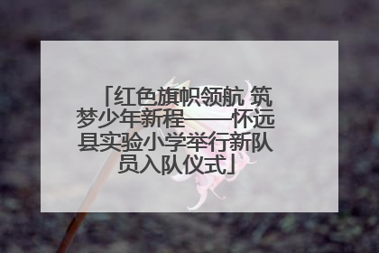 红色旗帜领航 筑梦少年新程——怀远县实验小学举行新队员入队仪式
