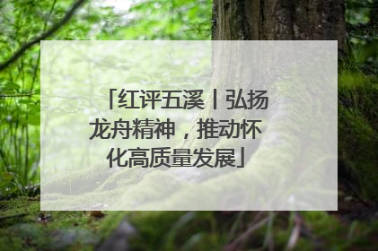 红评五溪丨弘扬龙舟精神，推动怀化高质量发展