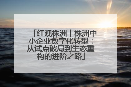 红观株洲丨株洲中小企业数字化转型：从试点破局到生态重构的进阶之路