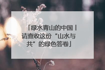 绿水青山的中国丨请查收这份“山水与共”的绿色答卷