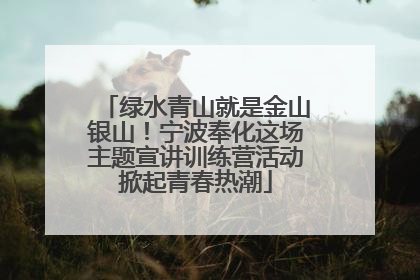 绿水青山就是金山银山！宁波奉化这场主题宣讲训练营活动掀起青春热潮