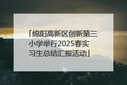 绵阳高新区创新第三小学举行2025春实习生总结汇报活动