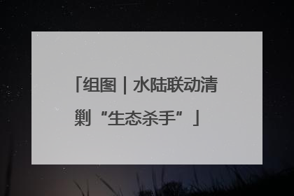 组图｜水陆联动清剿“生态杀手”