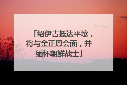 绍伊古抵达平壤，将与金正恩会面，并缅怀朝鲜战士