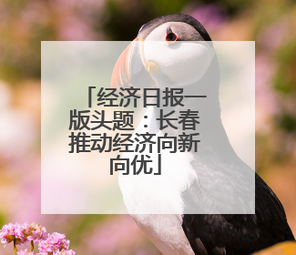 经济日报一版头题：长春推动经济向新向优