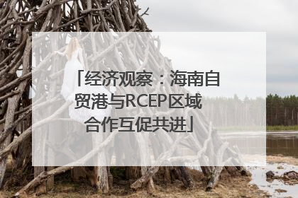 经济观察：海南自贸港与RCEP区域合作互促共进