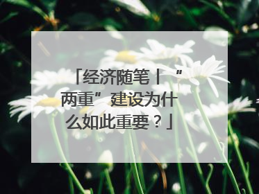 经济随笔丨“两重”建设为什么如此重要？