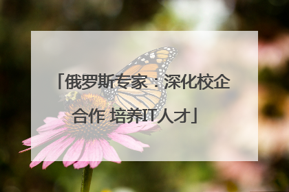 俄罗斯专家：深化校企合作 培养IT人才