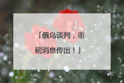 俄乌谈判，重磅消息传出！