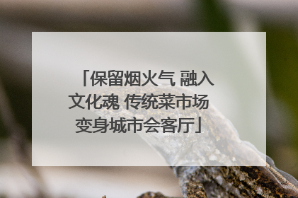 保留烟火气 融入文化魂 传统菜市场变身城市会客厅