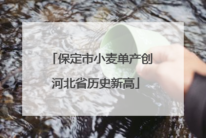 保定市小麦单产创河北省历史新高